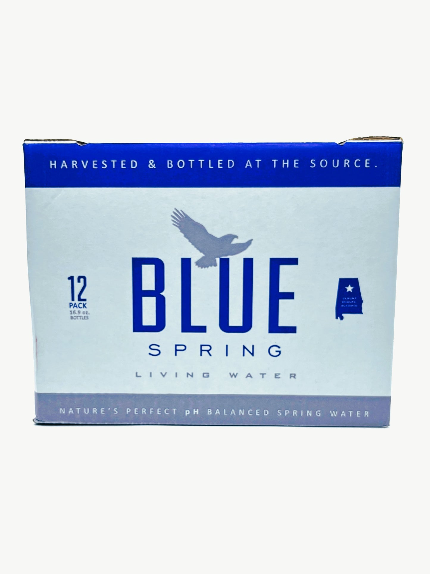 Blue Spring Living Water Natural Spring Water 16.9 Fl Oz Case of 12