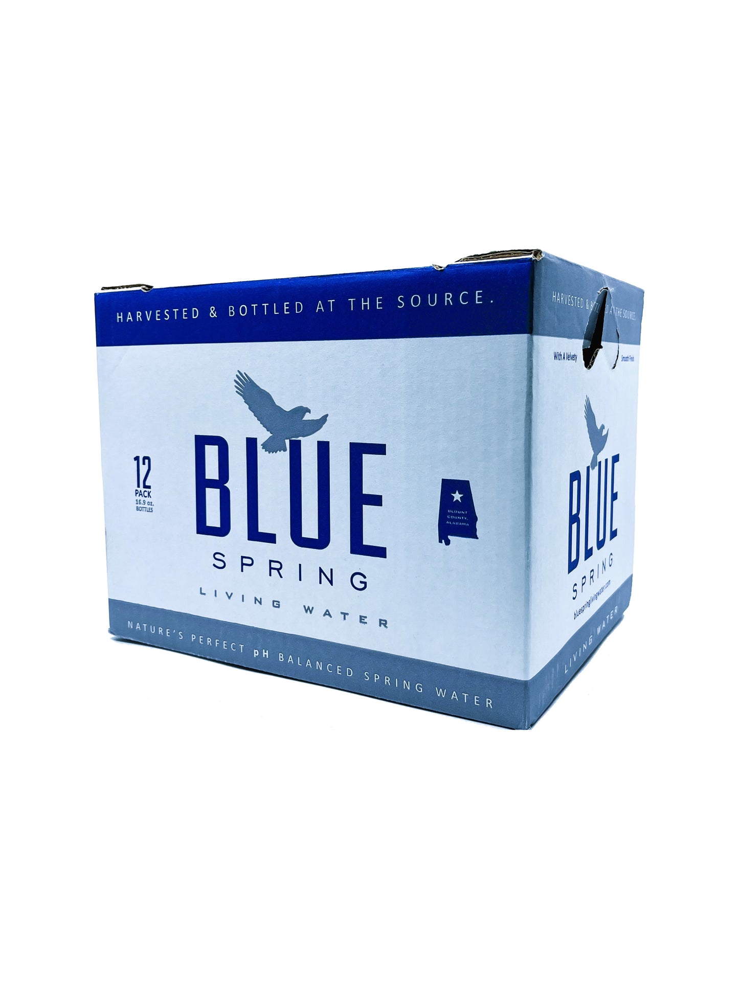 Blue Spring Living Water Natural Spring Water 16.9 Fl Oz Case of 12