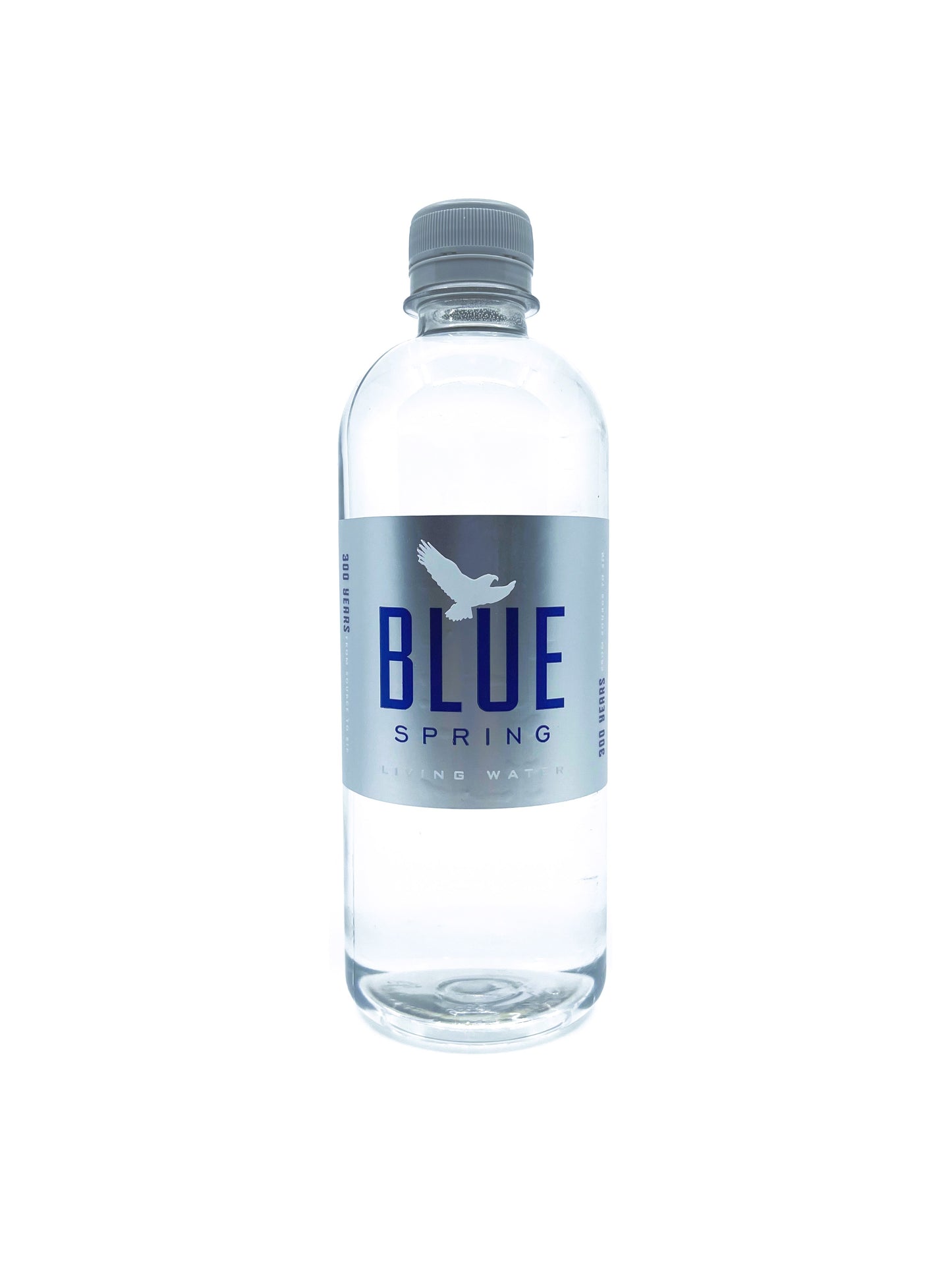 Blue Spring Living Water Natural Spring Water 16.9 Fl Oz Case of 12