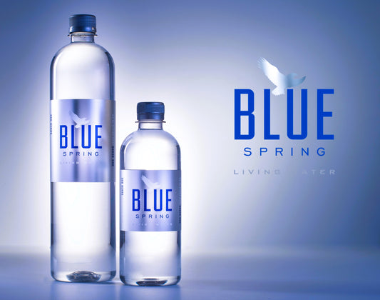 Blue Spring Living Water Natural Spring Water 16.9 Fl Oz Case of 12